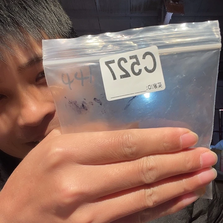 大果紫檀（缅甸花梨）527