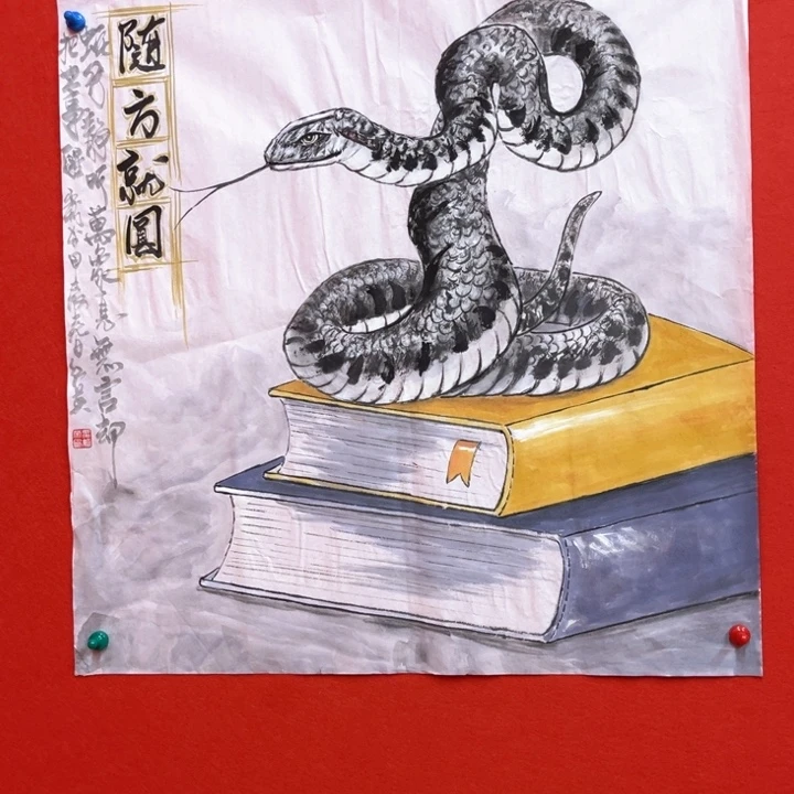 国画花鸟的翅膀和翅膀都是白色70.70