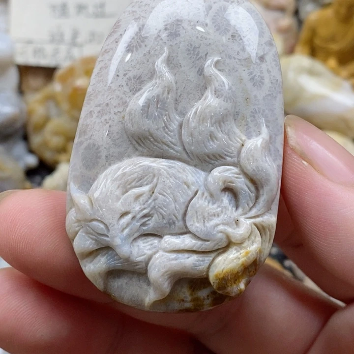 颈饰未镶嵌硅化珊瑚（珊瑚玉）