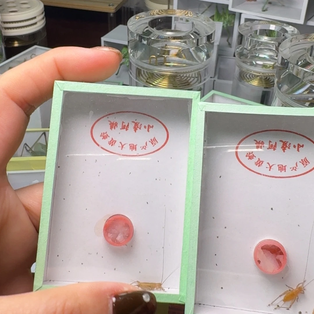 老***顾2条大黄琳长短须。