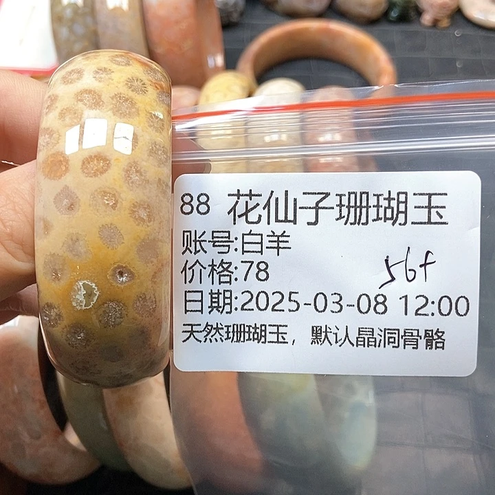 硅化珊瑚（珊瑚玉）手镯未镶嵌白*88