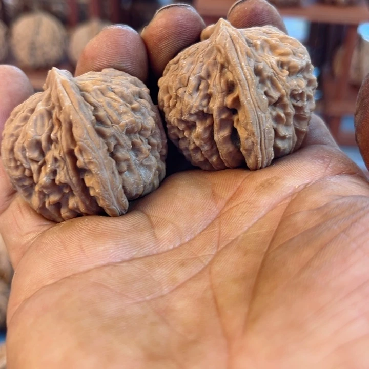 完全开放F*四座楼核桃