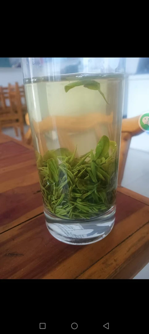 (雨前小一芽一叶)信阳毛尖土门口感鲜爽
