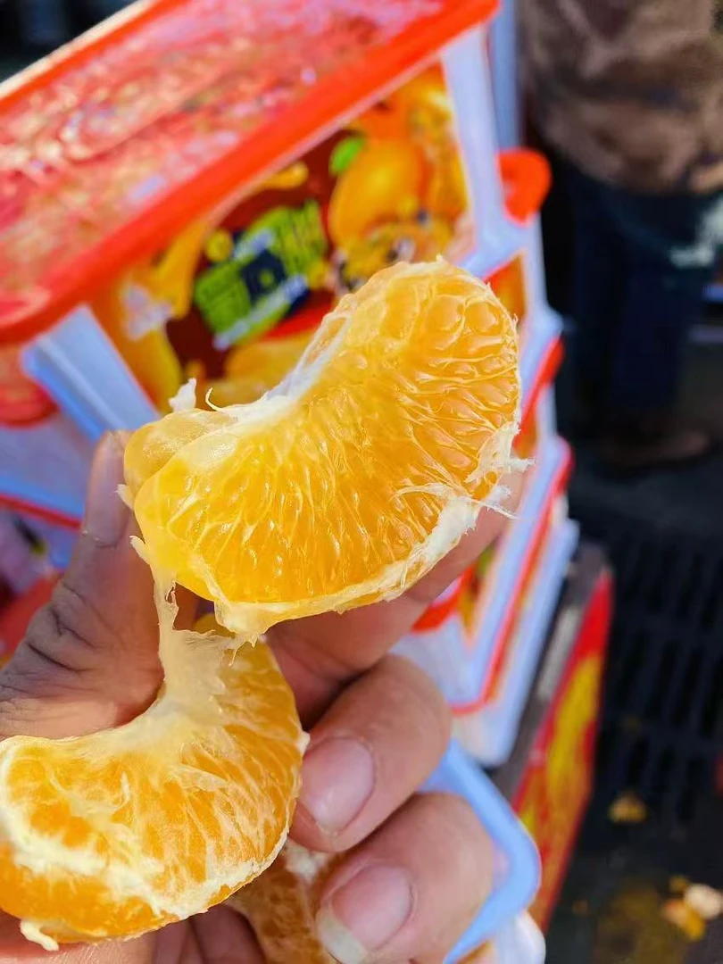 蜀心甜春见耙耙柑丑橘