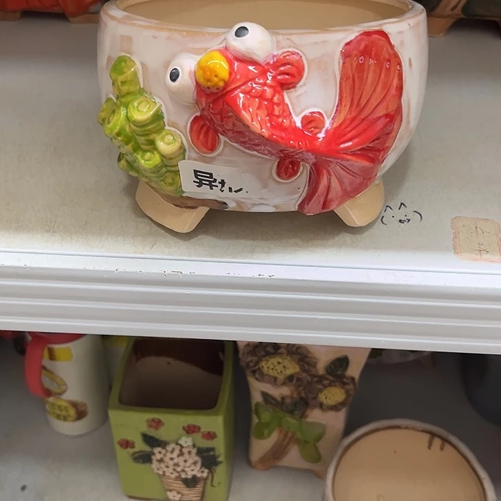 粗陶材质多肉花盆