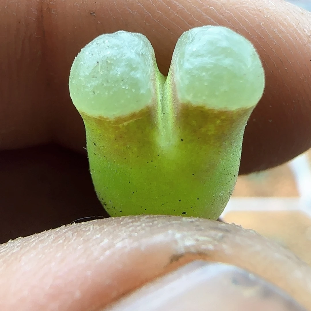 开播福利来啦39793