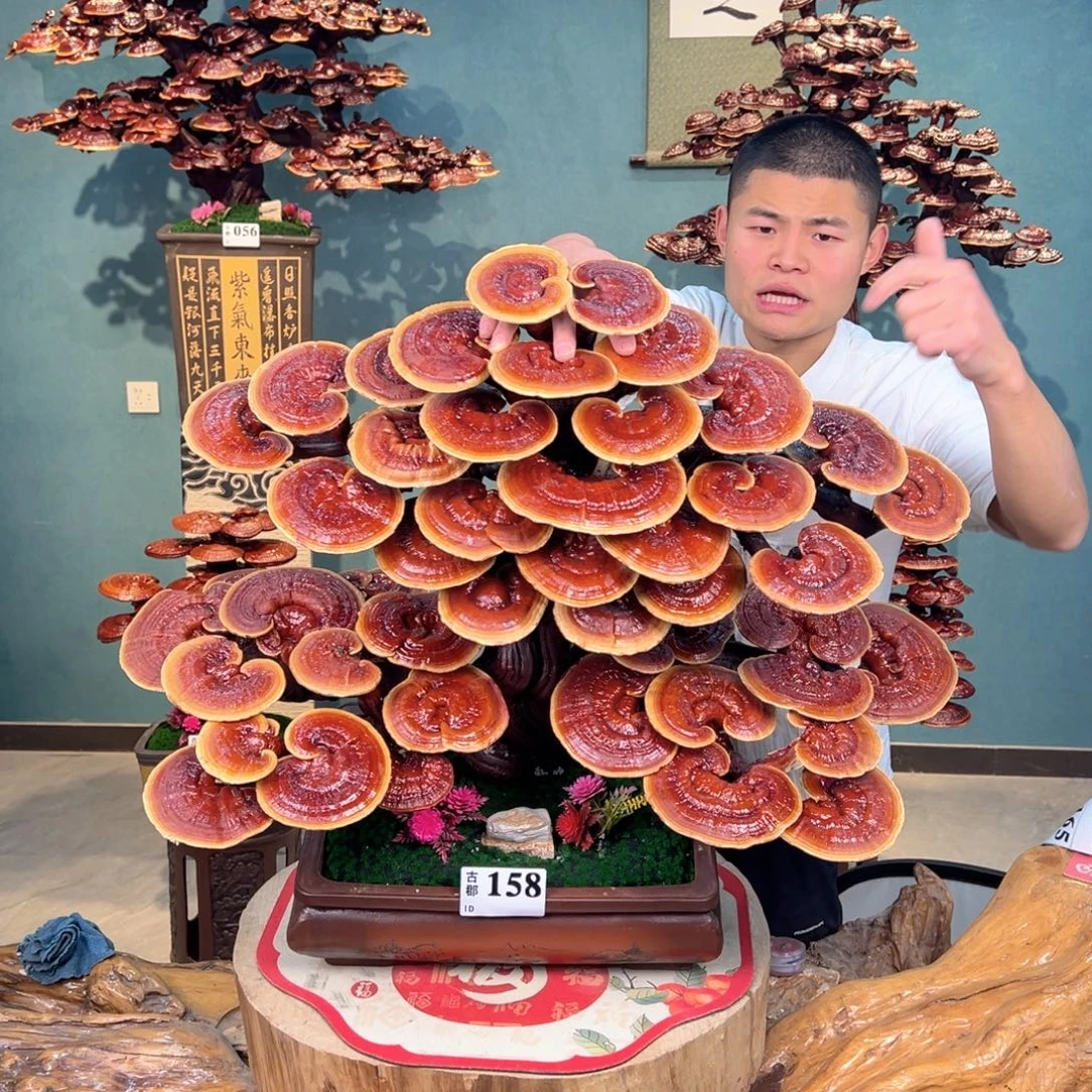 无花朵88888888888