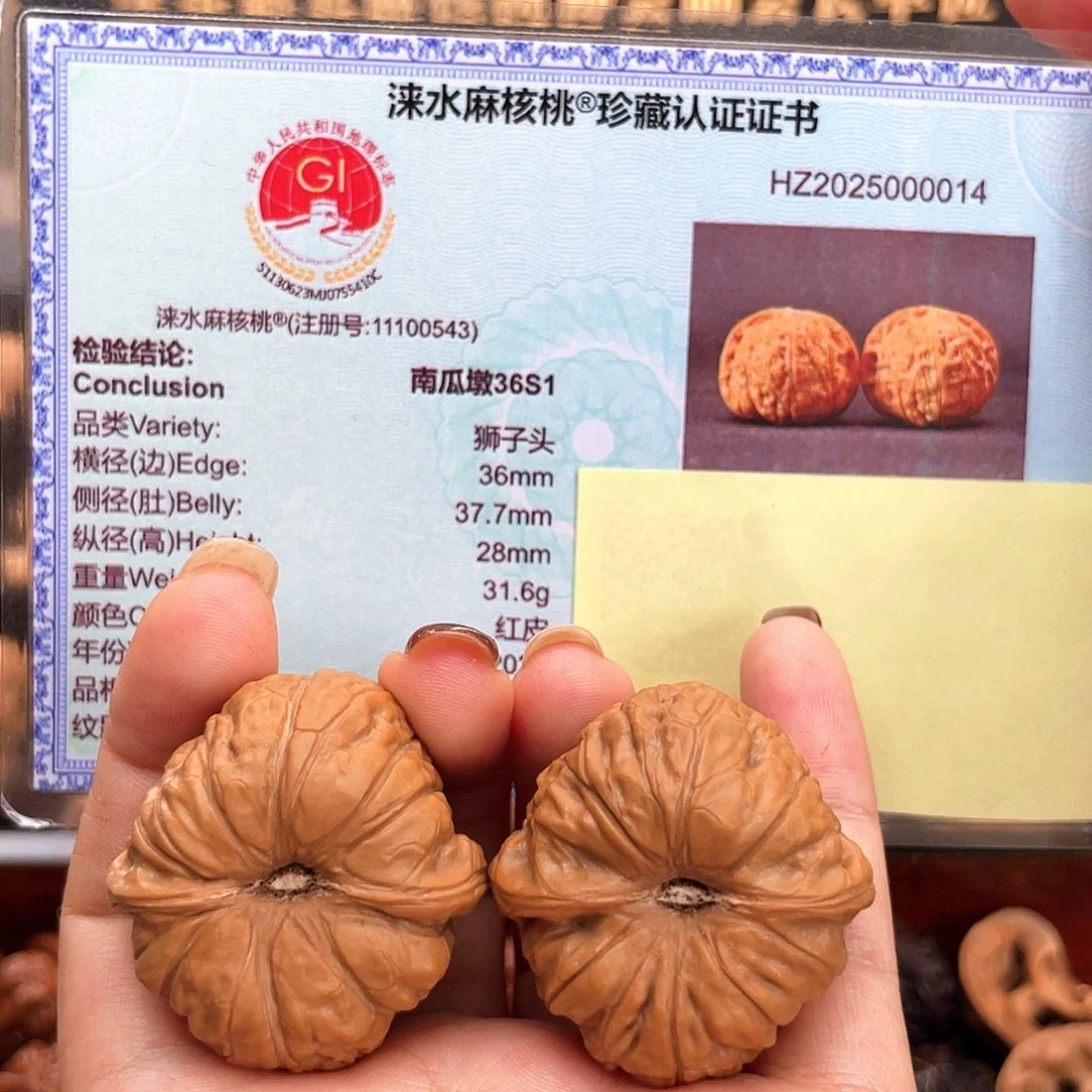 把件文玩核桃36毕业级小椭圆凹底➕近正肩36s1