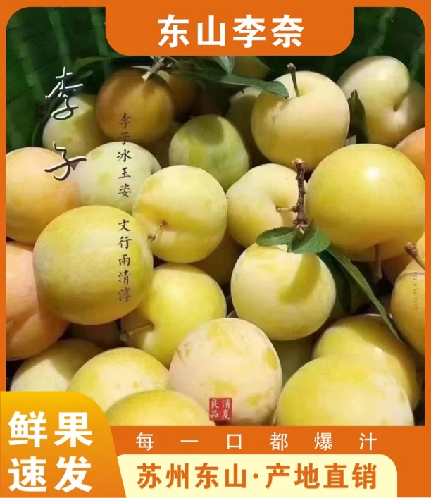 苏州东山水晶李奈奈子李子现摘现采酸甜可口汁水足