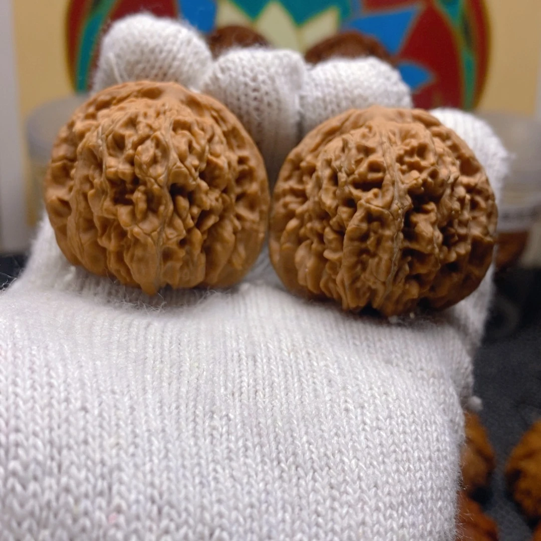 核桃43尺44克熊儿寨一代楼无药红皮