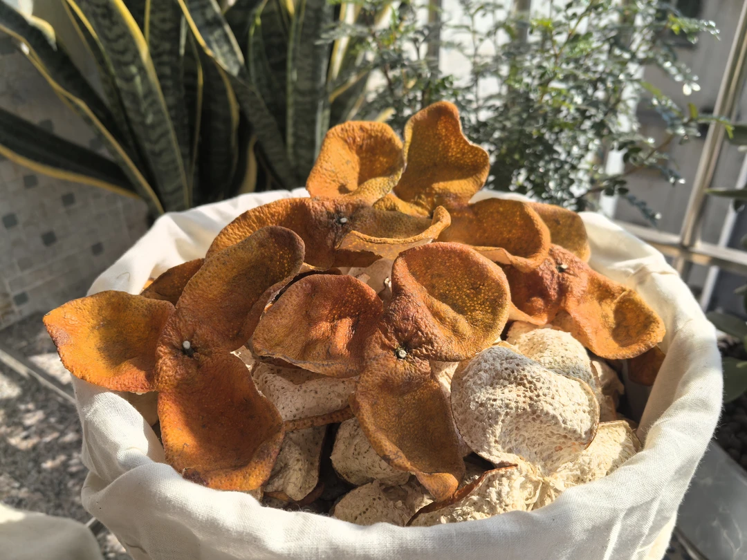 【自家果园】新会陈皮2024年天马原枝大红二红