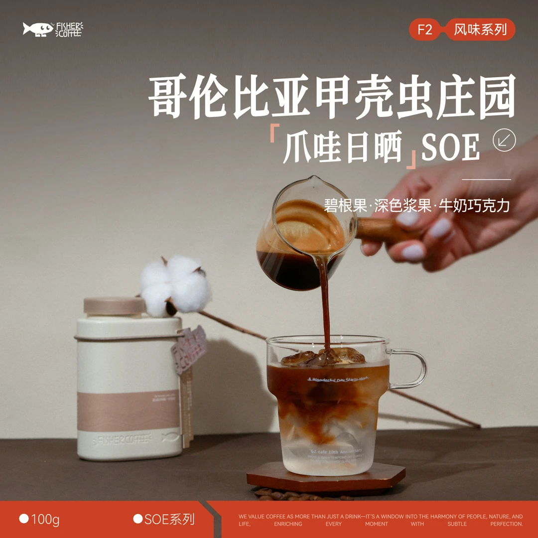 Fisher啡舍 F2哥伦比亚甲壳虫庄园日晒爪哇SOE 意式咖啡豆