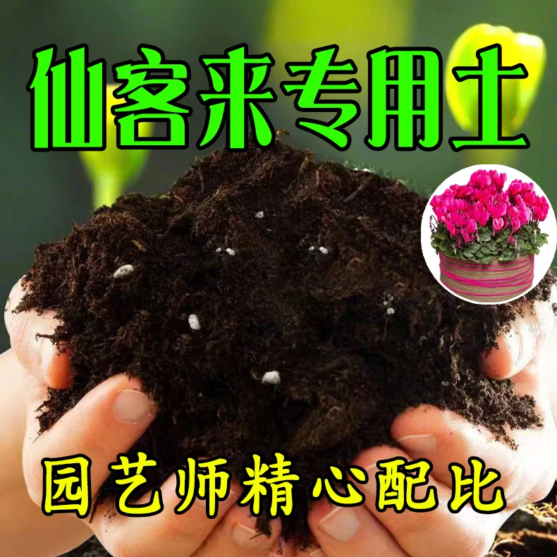 【仙客来专用土】营养土家庭盆栽绿植专用室内植物有机肥料种植土