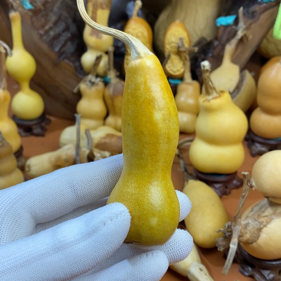 比***耶途径路途路途路途