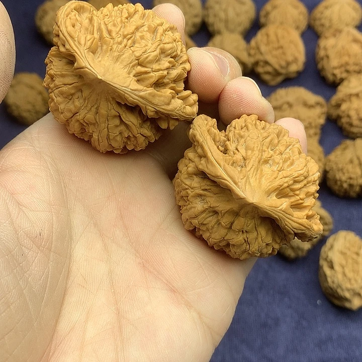 文玩核桃吊坠49 飞棱龙鼎