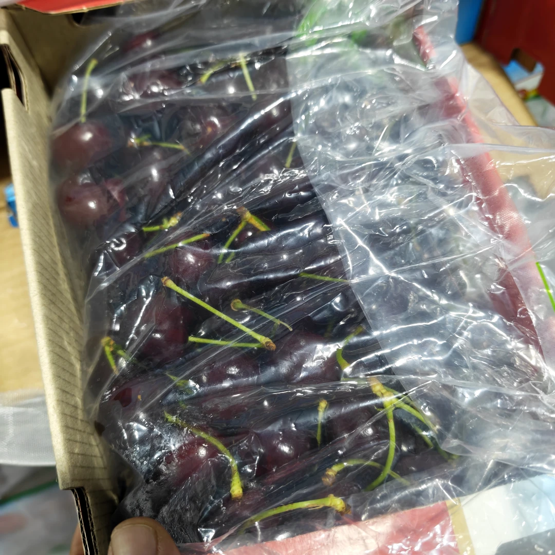 都乐 4JD 桑提娜智利空运进口车厘子 净重1-5斤 内附果径卡