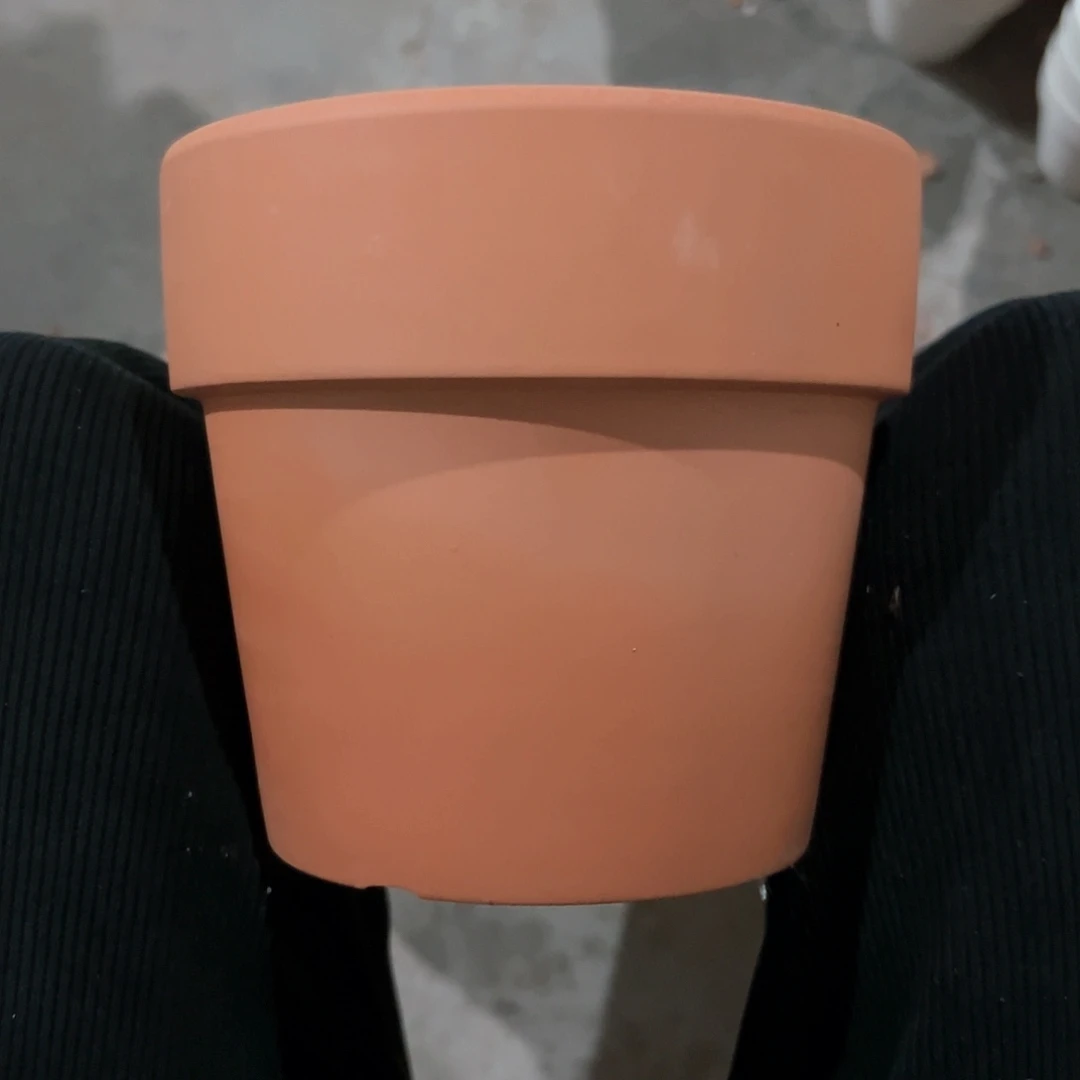 【闪购商品】红陶帝罗马16口14高1个