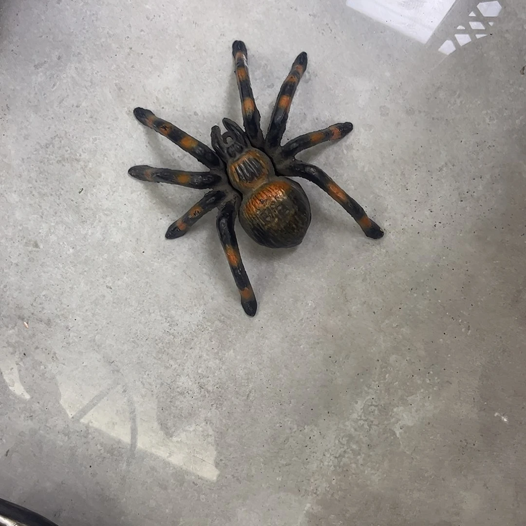 钱钱钱钱钱钱钱钱钱钱
