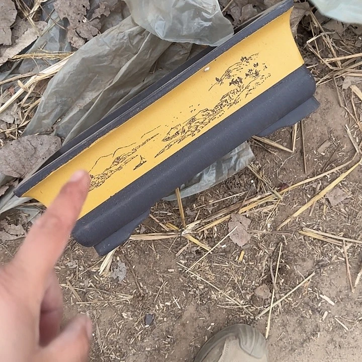 在干嘛的我还以为自己没看完