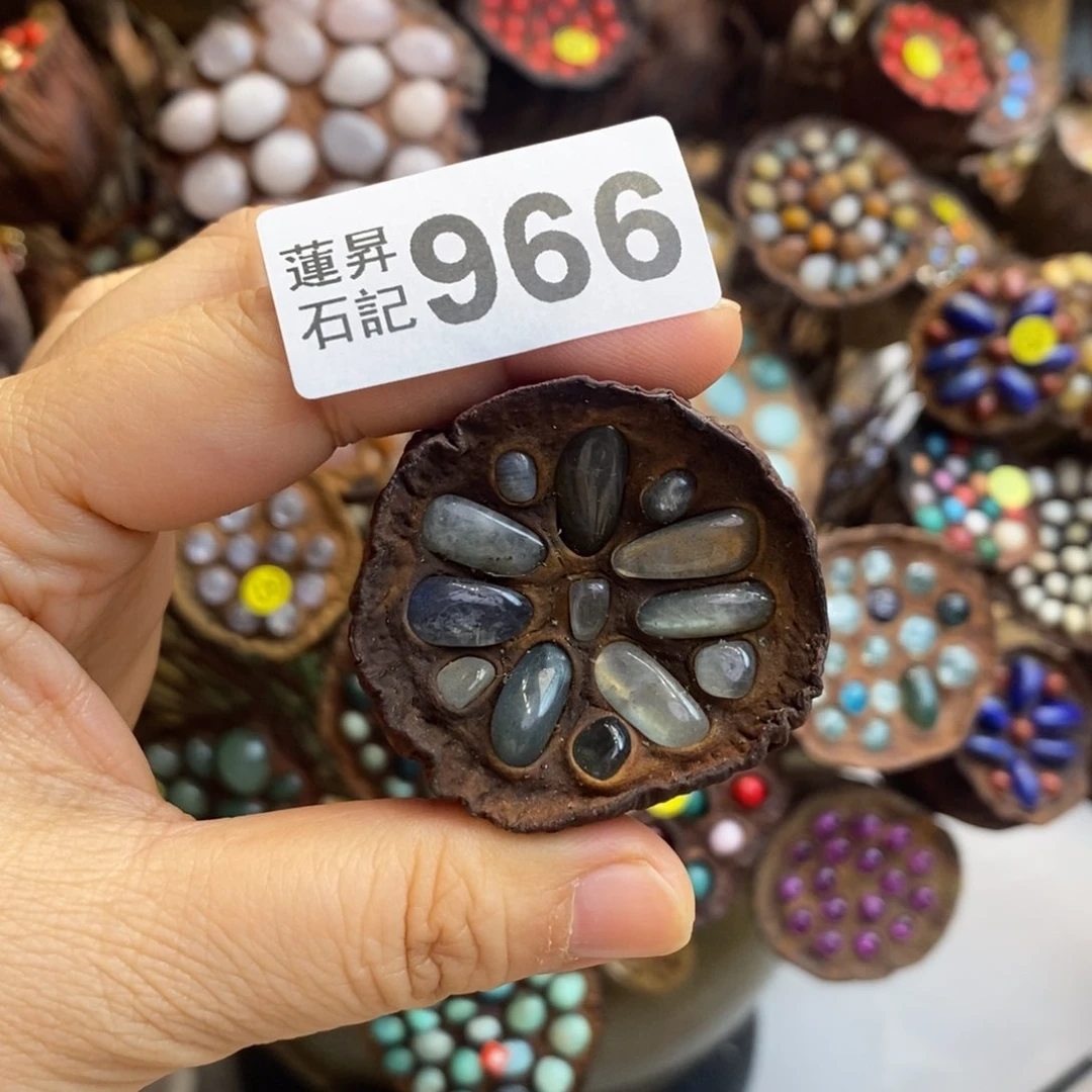 核桃木/黑胡桃（胡桃木）羽*?，966