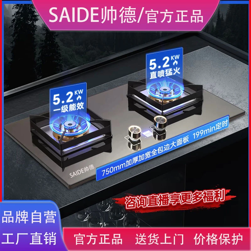 帅德25新款高级灰不锈钢全铜双灶天然液化气灶定时直喷猛火燃气灶