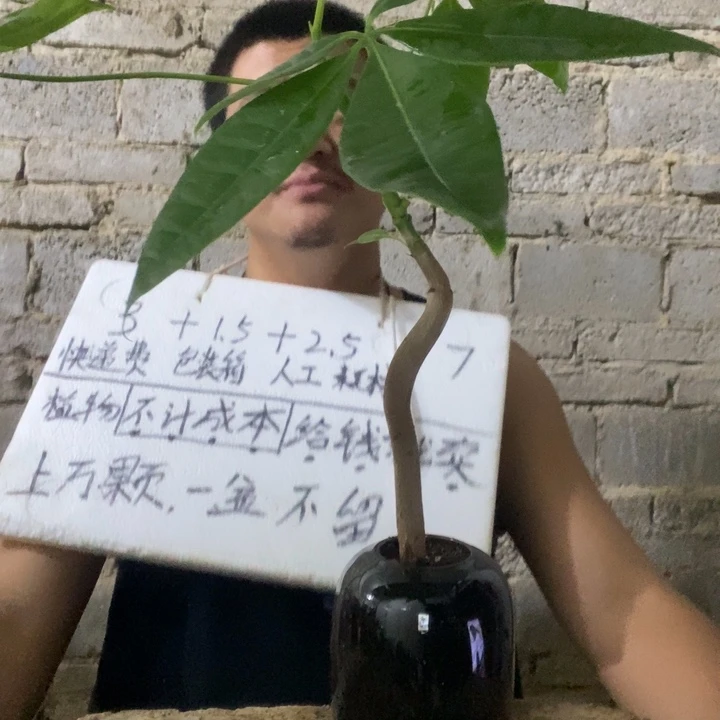 退款拉黑一物一拍104