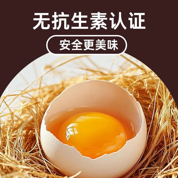 谷物喂养新鲜白壳鲜鸡蛋无抗无激素40-45g嫌小勿拍