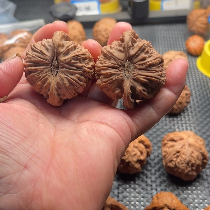 文玩核桃把件G****金全品白狮头45