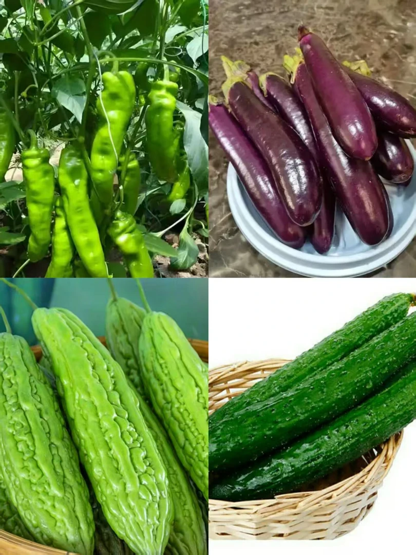 【小胡书记推荐】衡阳本地新鲜瓜果蔬菜