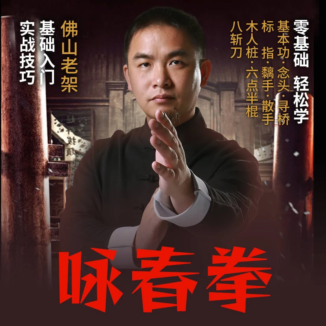 叶问咏春拳 自学教程零基础入门与实战技巧格斗搏击武术功夫