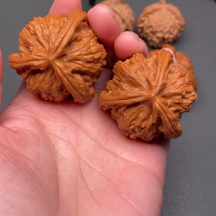 郭***育木质类核桃核桃核桃