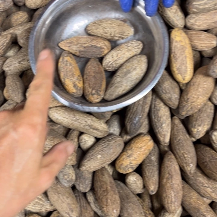 千眼菩提吊坠千眼菩提刷料 5 个。