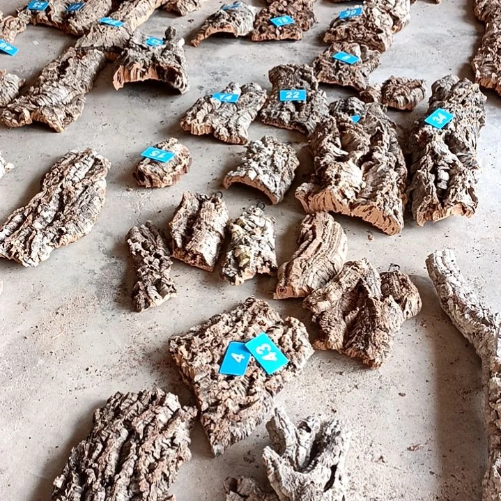 一物一拍一物一发