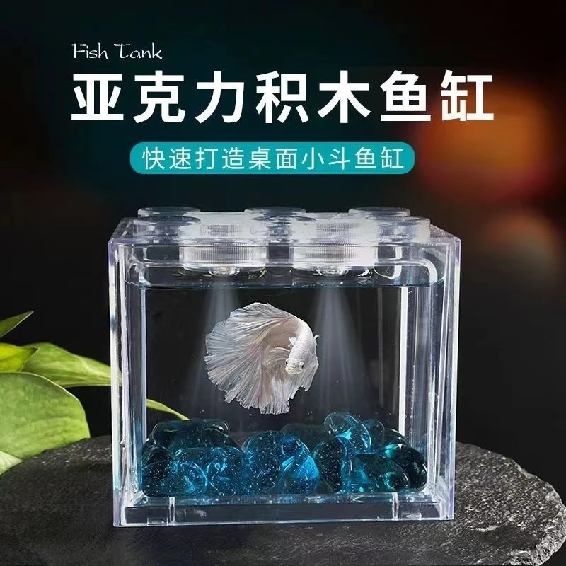 斗鱼罐斗鱼杯饲养套装