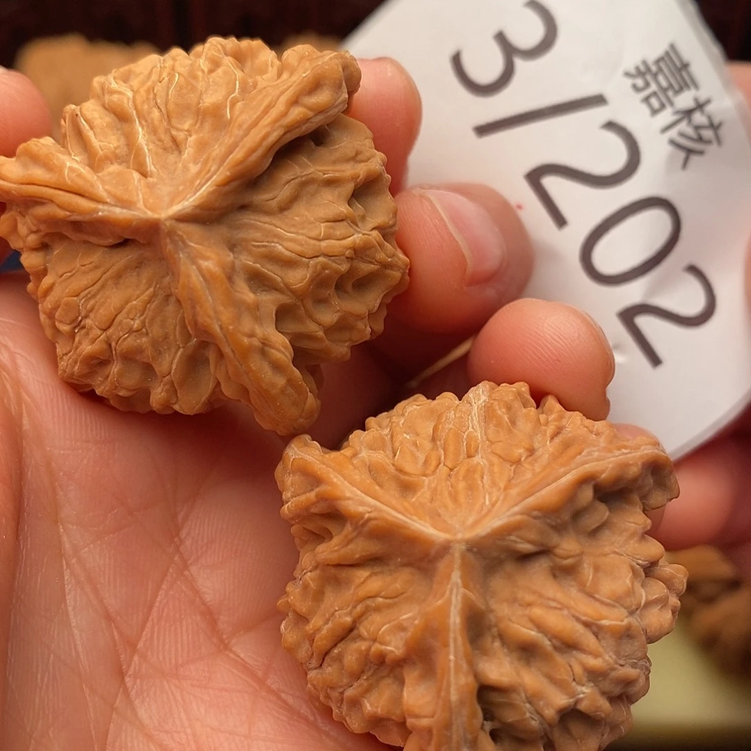 文玩核桃把件37盘山三棱奔