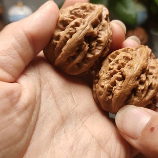 宁***龍吊坠文玩核桃微色差帝王筋