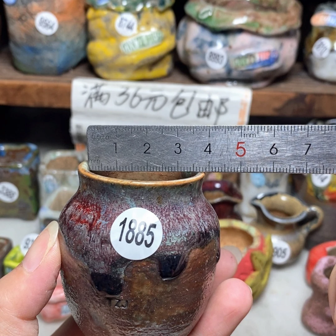 拍5送一个小礼物