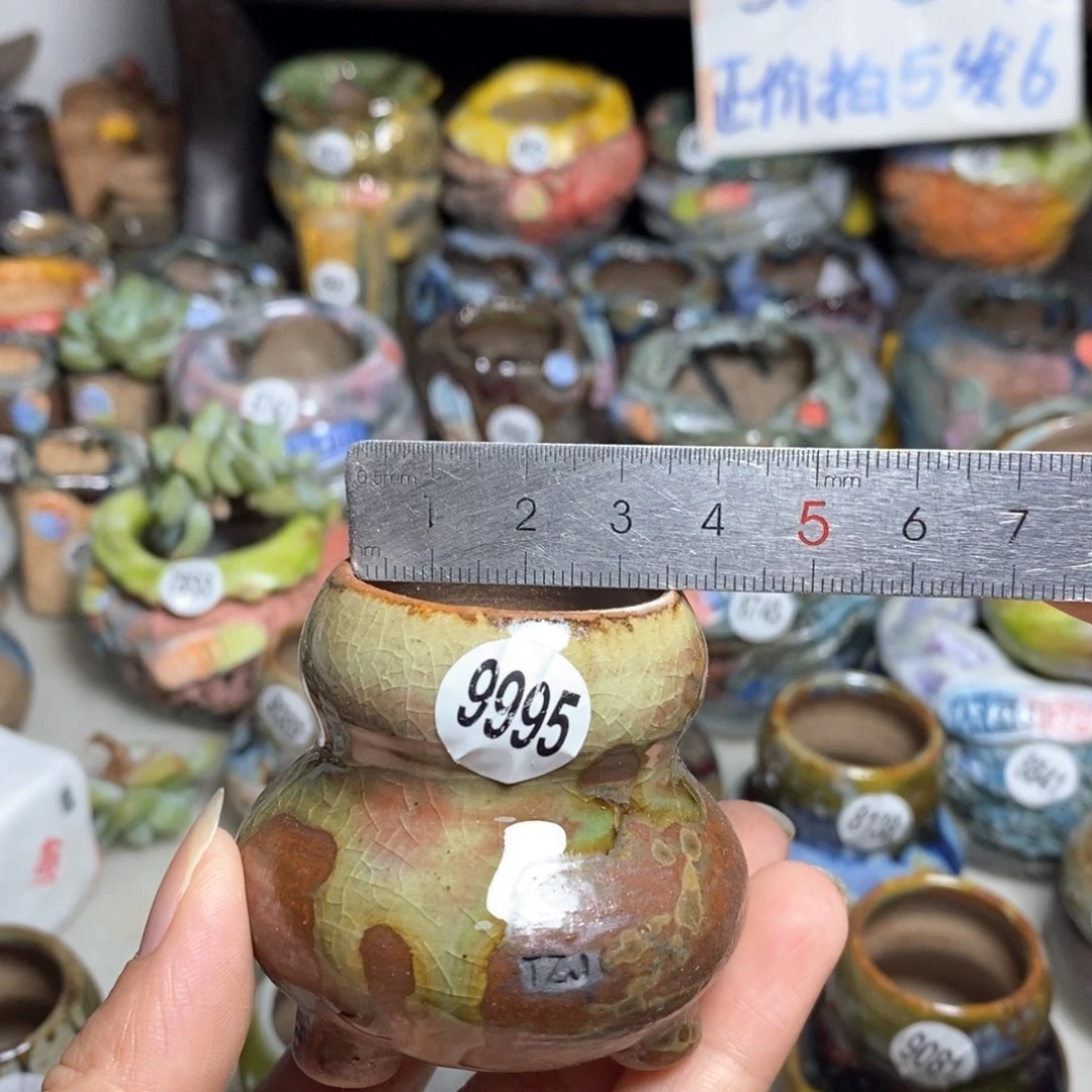 拍5送一个小礼物