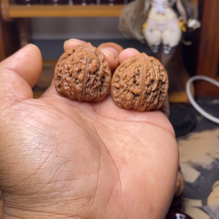 35全品太行雪莲未打底