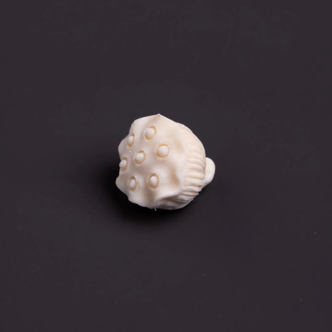 【猛犸牙系列】猛犸牙莲蓬9*9mm左右