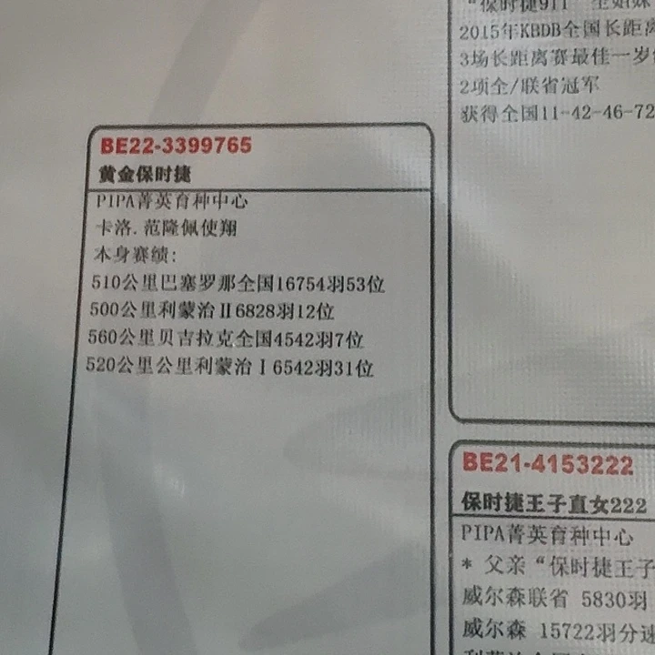 血统书血统书血统书