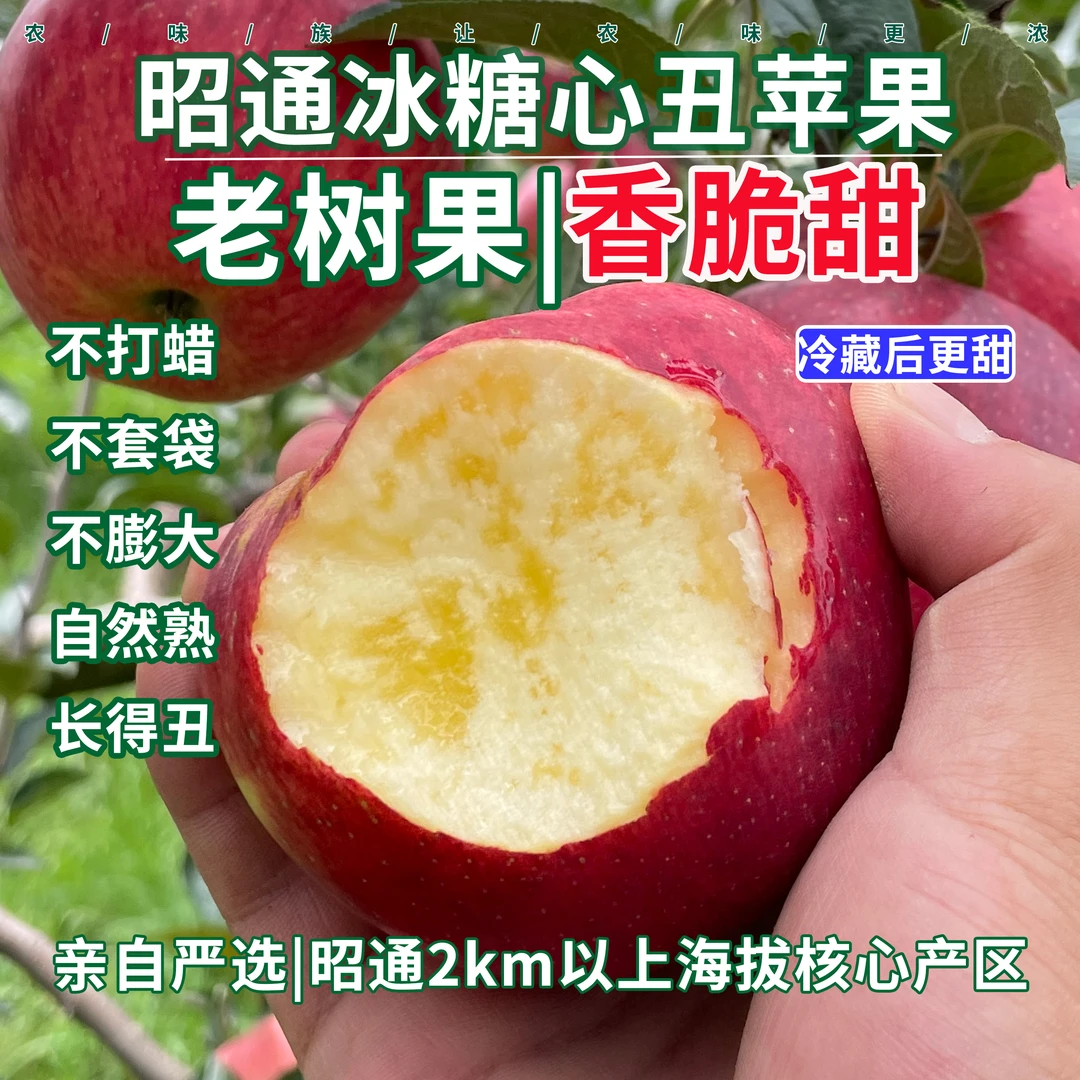 当季昭通冰糖心丑苹果脆甜高山苹果新鲜应季水果