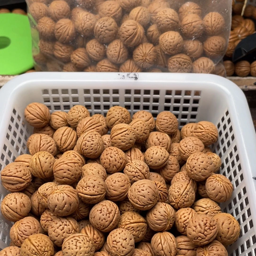 【闪购商品】：*：散子批发88米