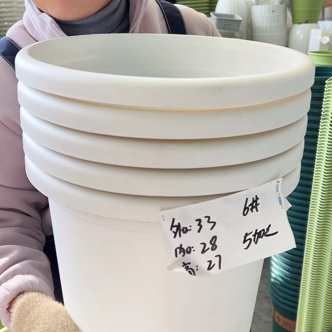 四季盆6#白色5个无托