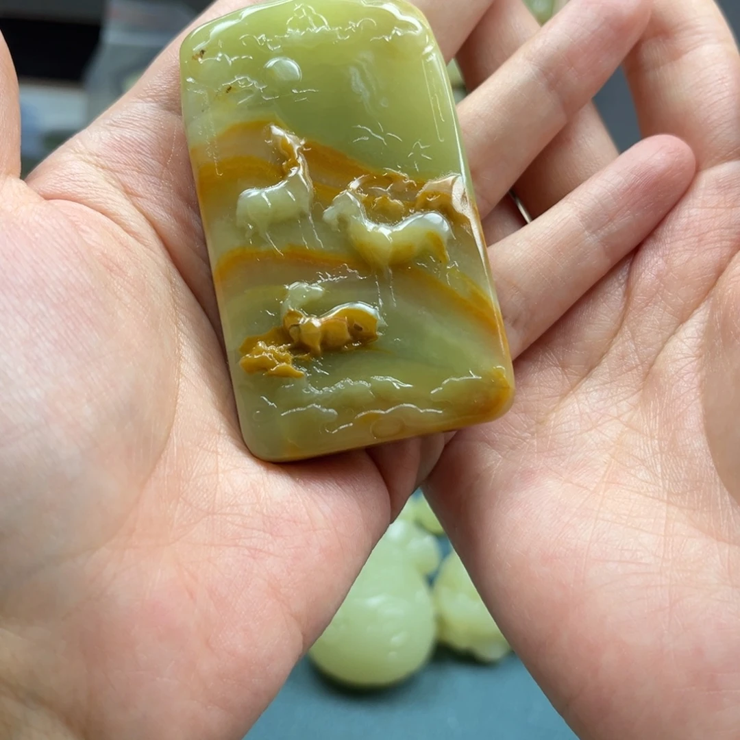 自***鸟一物一拍所见所得