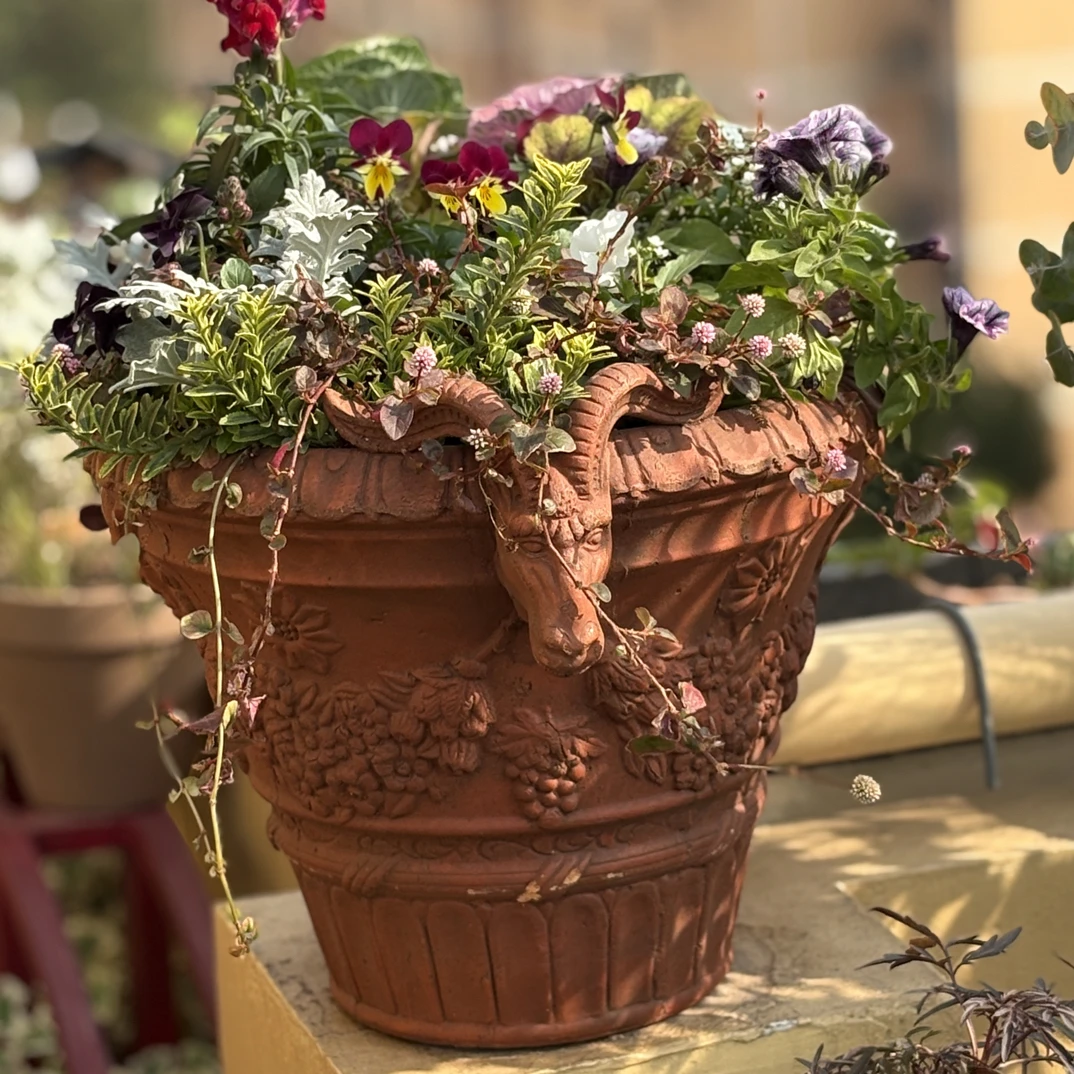 意大利帝罗马手工粗陶土花盆羊头盆复古欧式大口径绿植红陶花盆