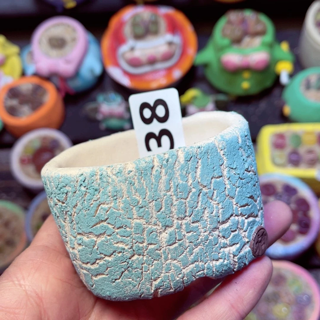 238……1111111111111111