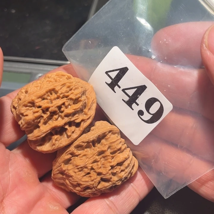 核桃111111111111111