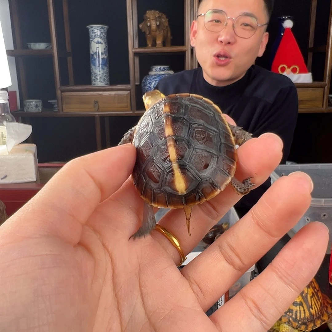 母神**海安啦啦啦啦啦啦啦