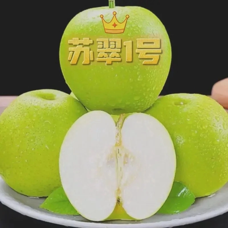 【大海专属】正宗砀山苏翠1号梨净重5/9斤酥脆香甜个个爆汁现采现发